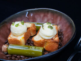 3 Tage Kurzurlaub mit Hund in Hessen inkl. 3 Gang Menü 