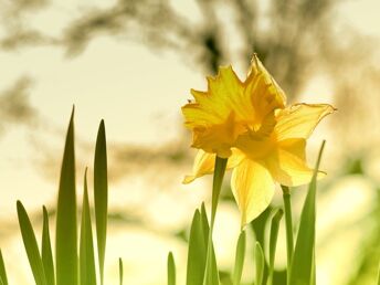 Ostern bei Freunden im Grünen - 2 Nächte