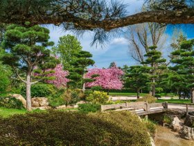 Auszeit vom Alltag in Düsseldorf - 6 Tage Architektur, Shopping und Kultur