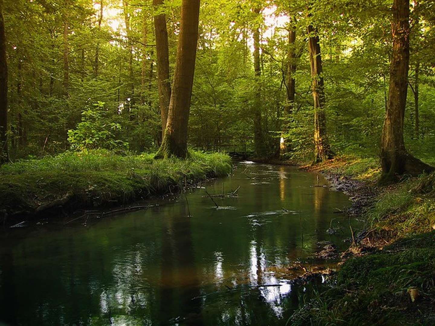 5 Tage Schwarzwaldurlaub mit einem schwarzwaldtypischen 3 Gang Menü