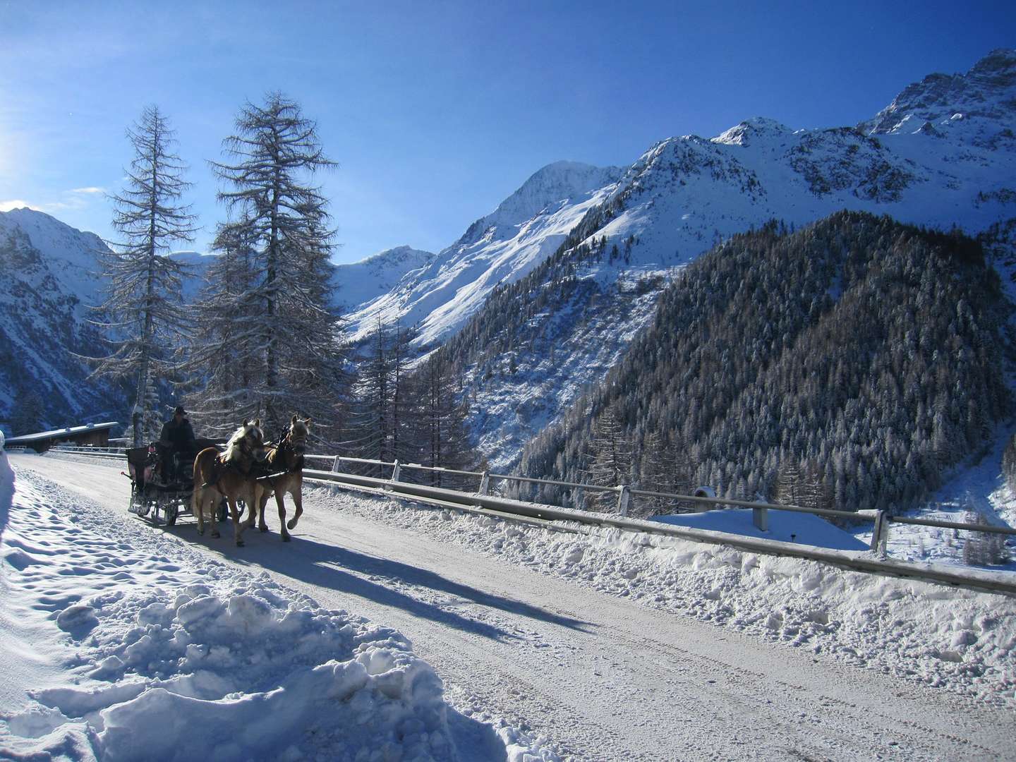 3 Tage Schwarzwaldurlaub in Todtmoos