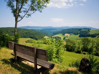 5 Tage Schwarzwaldurlaub mit einem schwarzwaldtypischen 3 Gang Menü