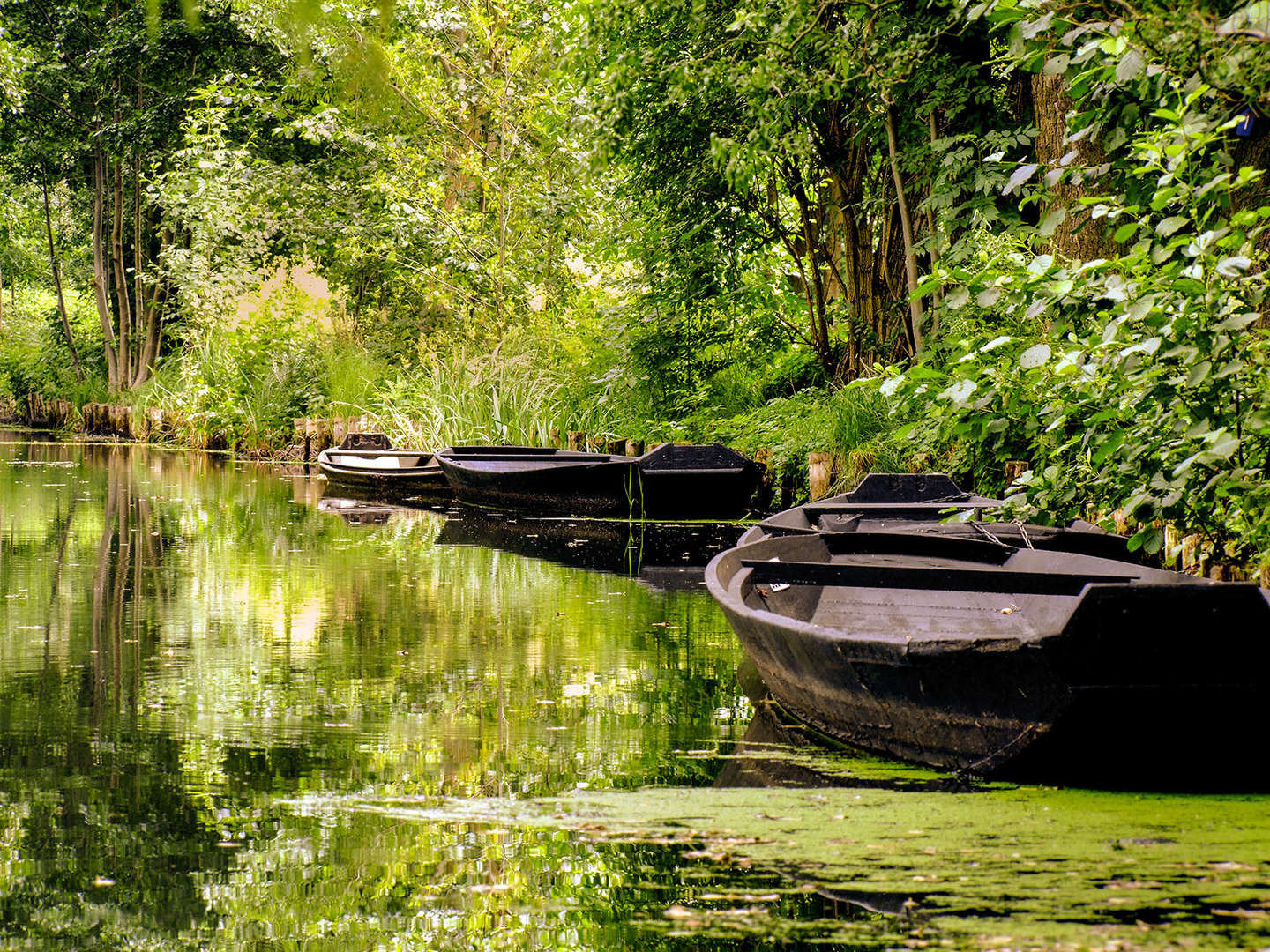 Romantische Zeit zu Zweit im Spreewald