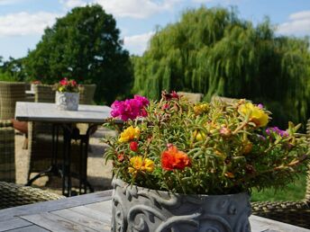 Erholsame Zeit im Grünen in Westmecklenburg 