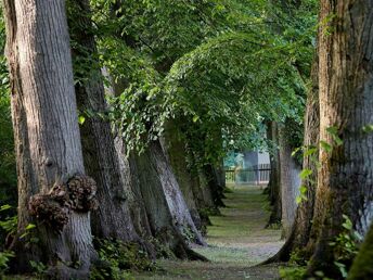 Romantische Zeit im Schloss in Westmecklenburg