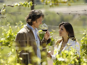 Silvester im Tal der Himmelsscheibe und an der Unstrut /  3-ÜN