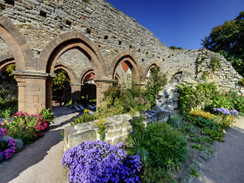 Wandern - Wein & Klosterkultur 