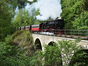 Kurzurlaub in Wernigerode inkl. Schmalspurbahn-Fahrt