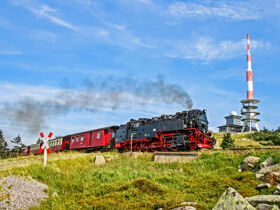 Erlebnis- & Entdecker- Urlaub im Harz- 4 Tage im Hasseröder Burghotel inkl. Halbpension  