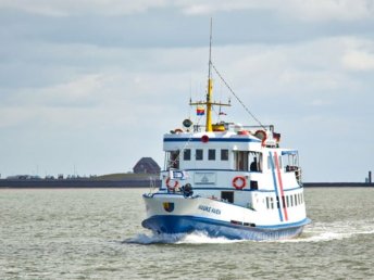 Ab ans Meer - Sensationeller Trip auf die Hallig Langeneß  