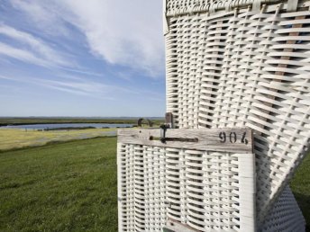 Ab ans Meer - Sensationeller Trip auf die Hallig Langeneß  