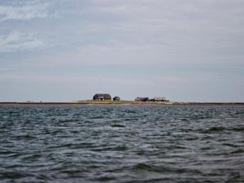 Ab ans Meer - Sensationeller Trip auf die Hallig Langeneß  