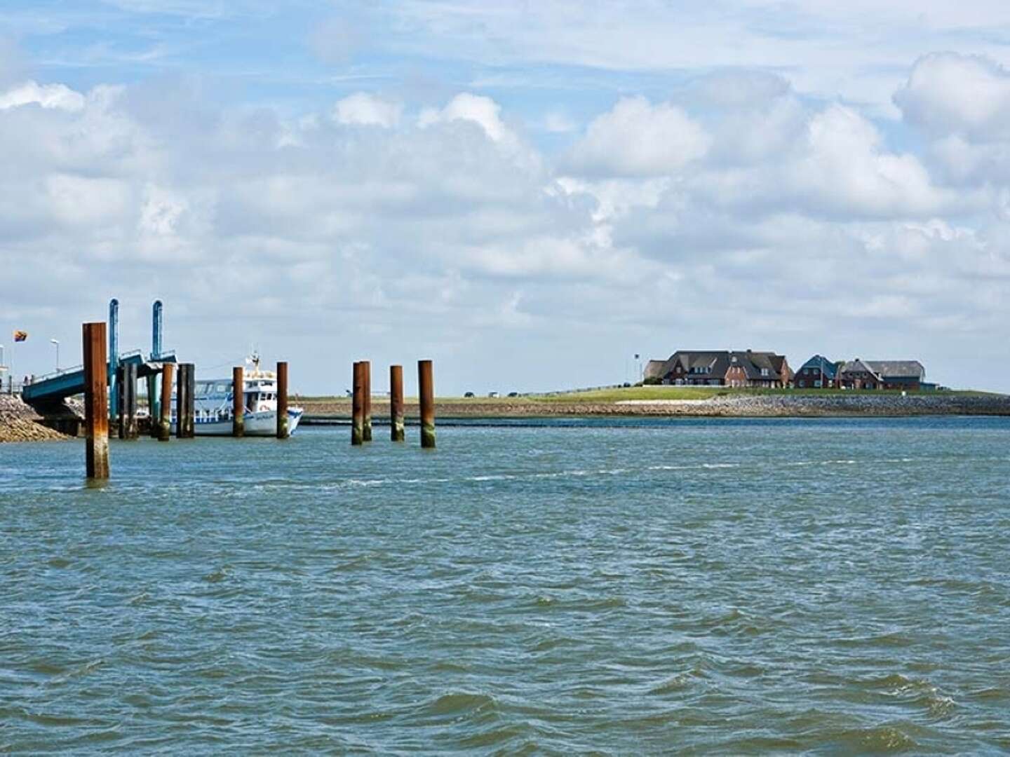 Last Minute - Hallig Langeness in der Nordsee