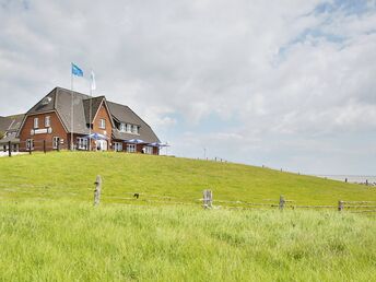 Last Minute - Hallig Langeness in der Nordsee