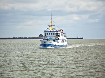 Last Minute - Hallig Langeness in der Nordsee