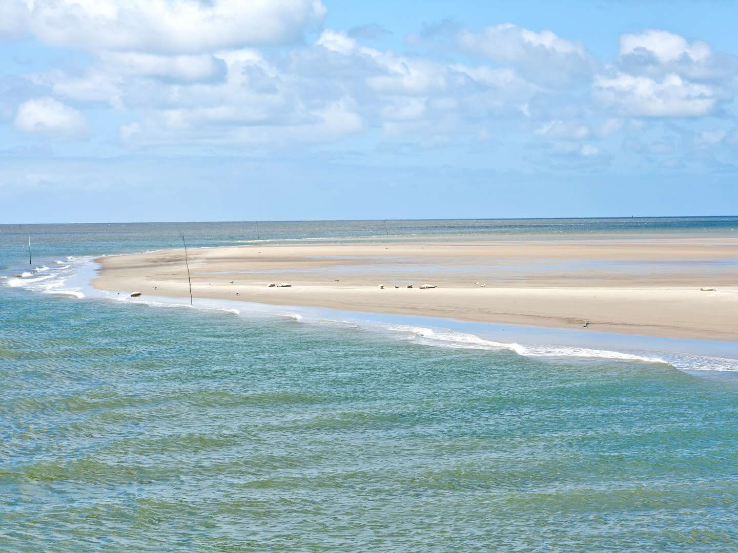 Last Minute - Hallig Langeness in der Nordsee
