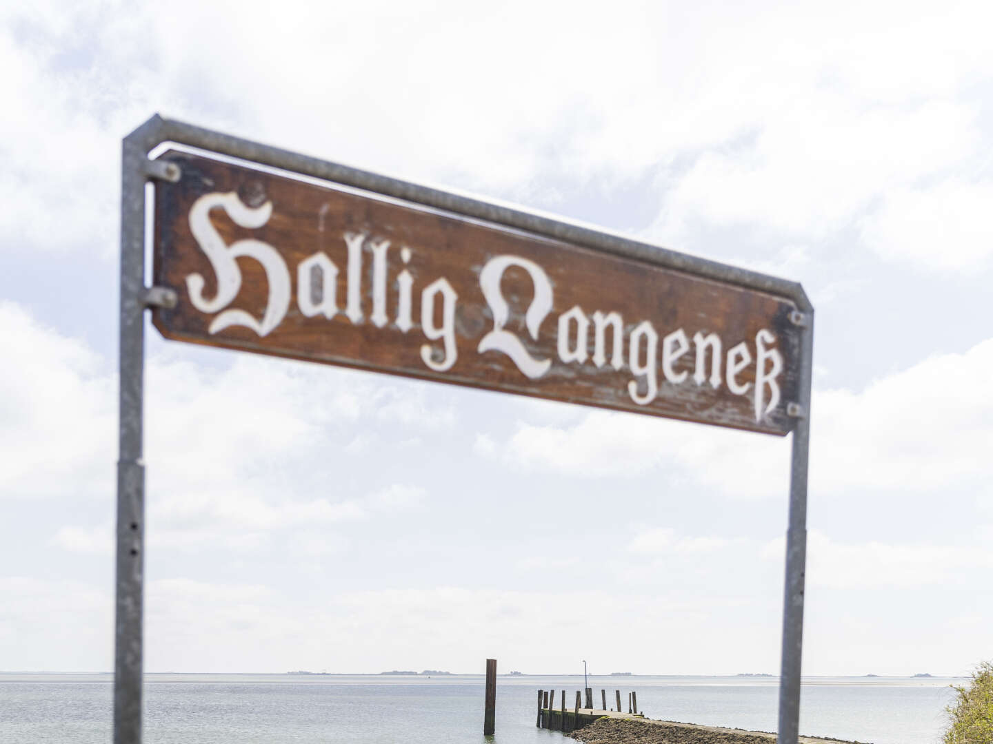 Last Minute - Hallig Langeness in der Nordsee