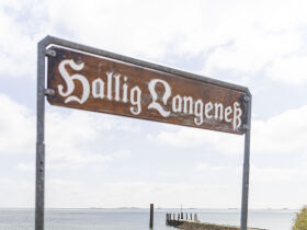 Ausflug auf die Hallig Langeness