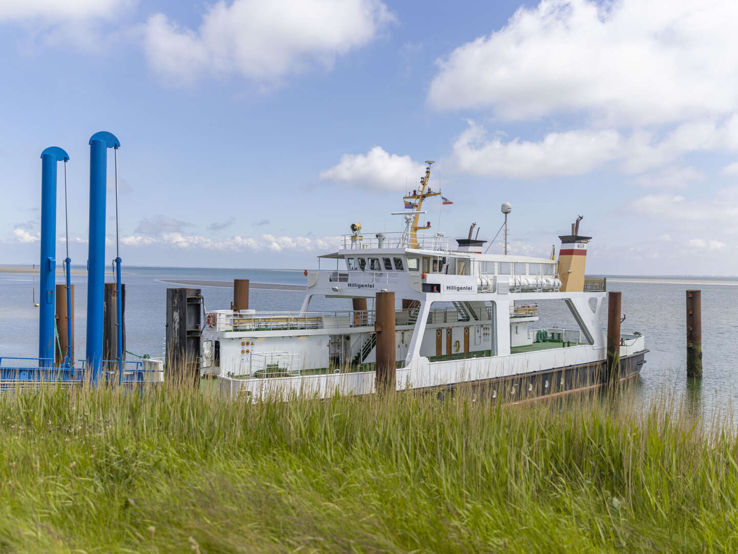 Last Minute - Hallig Langeness in der Nordsee