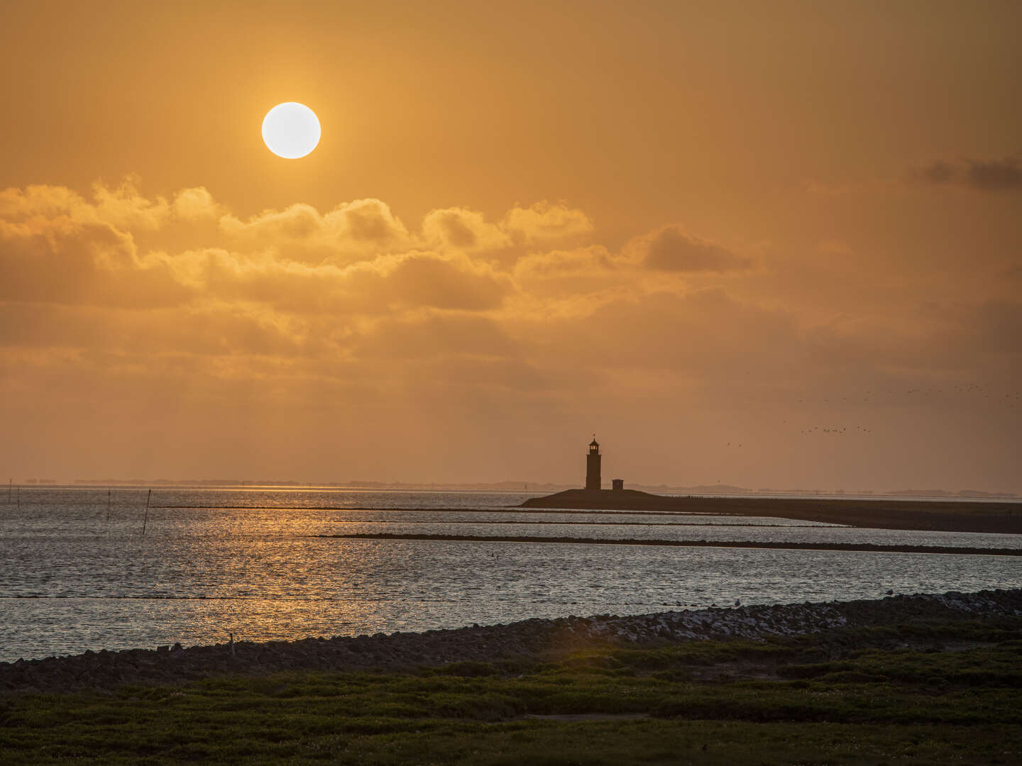 Last Minute - Hallig Langeness in der Nordsee