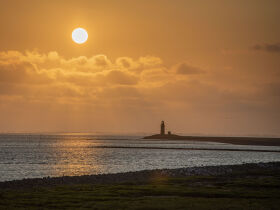 Ausflug auf die Hallig Langeness