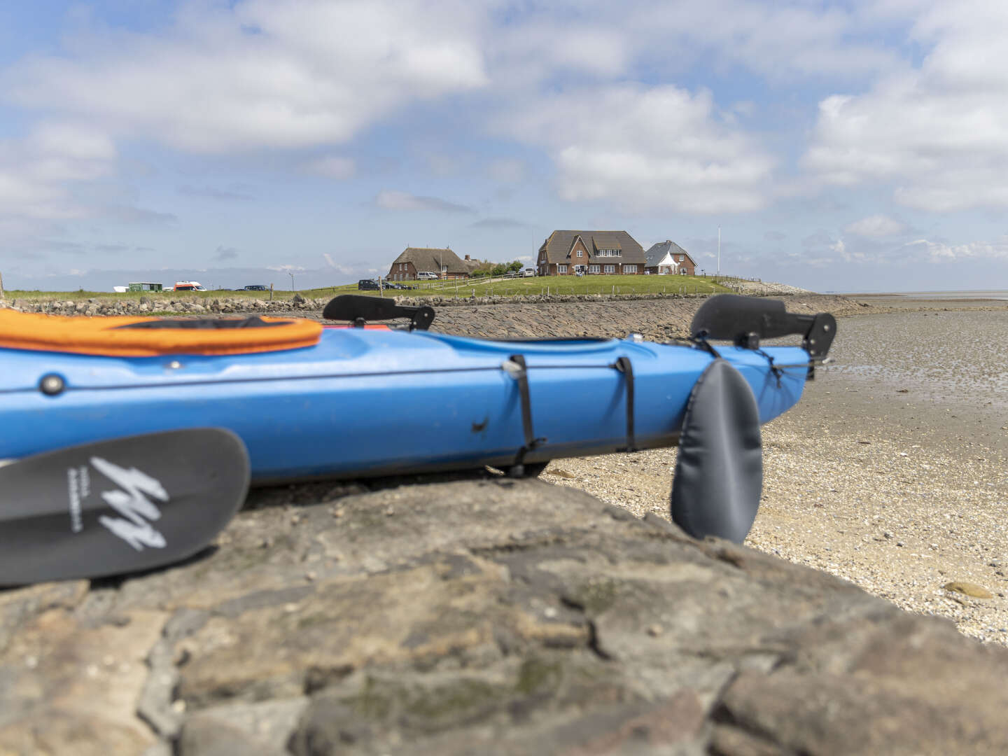 Last Minute - Hallig Langeness in der Nordsee