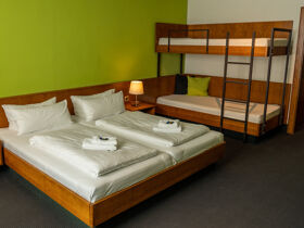 k1 Monsterroller-Erlebnis in Oberwiesenthal im Erzgebirge - 3 Tage