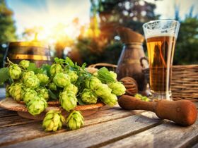 Bierige Ostern im Brauhaus Müritz