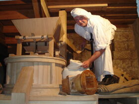 3 Bio-Genuss- Aktiv- Tage direkt an der Elbe in der Sächsischen Schweiz inkl. Halbpension