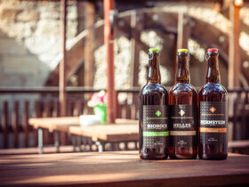 3 Bio-Genuss- Aktiv- Tage direkt an der Elbe in der Sächsischen Schweiz inkl. Halbpension