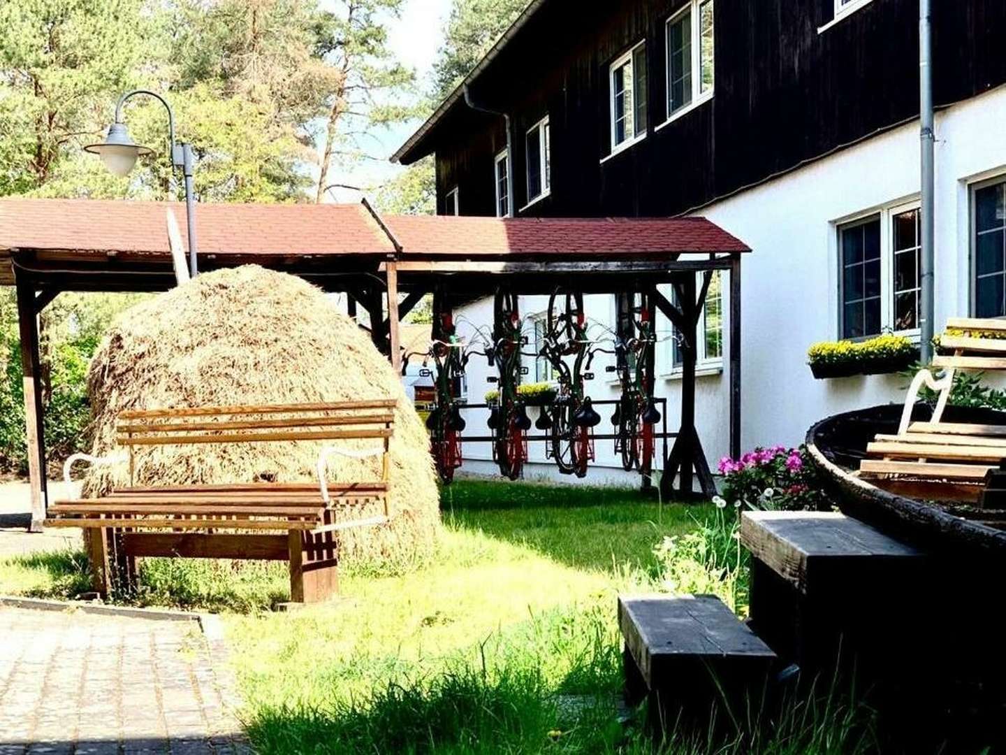 3 Tage Romantischer Sommer im Spreewald	inkl. Kahnfahrt