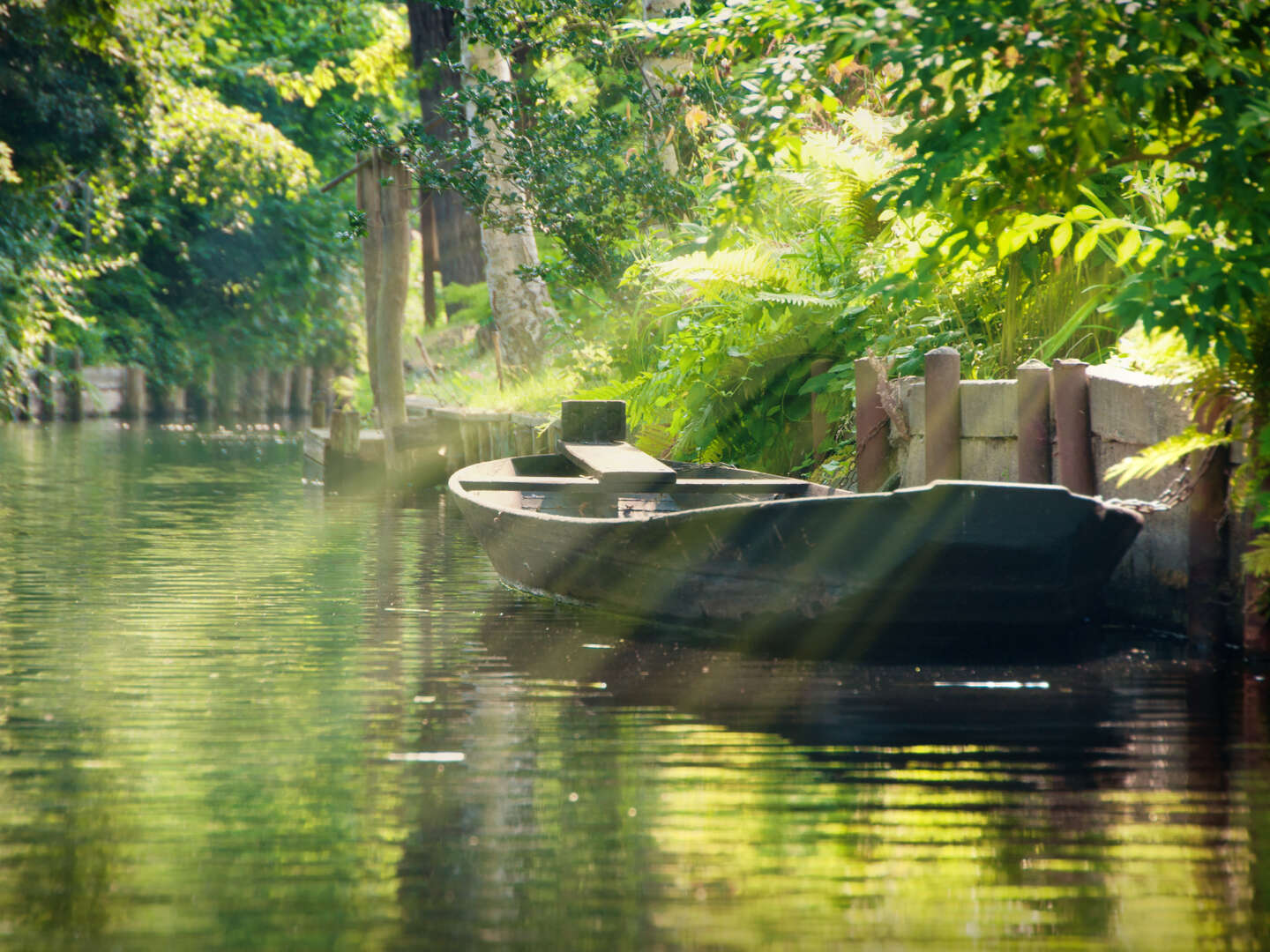 3 Tage Romantischer Sommer im Spreewald	inkl. Kahnfahrt