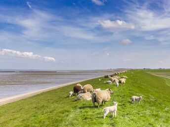 Romantische Auszeit in Nordfriesland inkl. 1x Abendessen