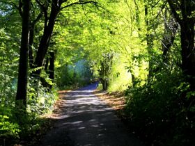 Raus aus dem Alltag| 5 Tage in der Rhön inkl. HP