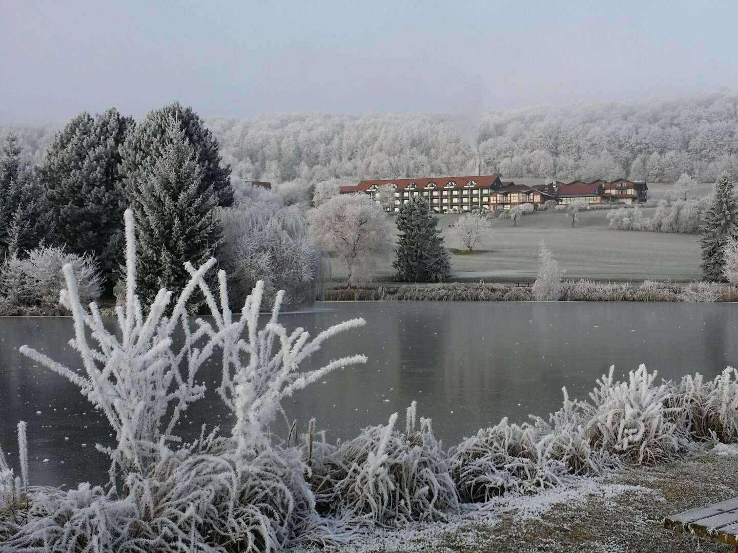 Raus ins Grüne | 4 Tage in der Rhön inkl. Halbpension & Lunchpaket