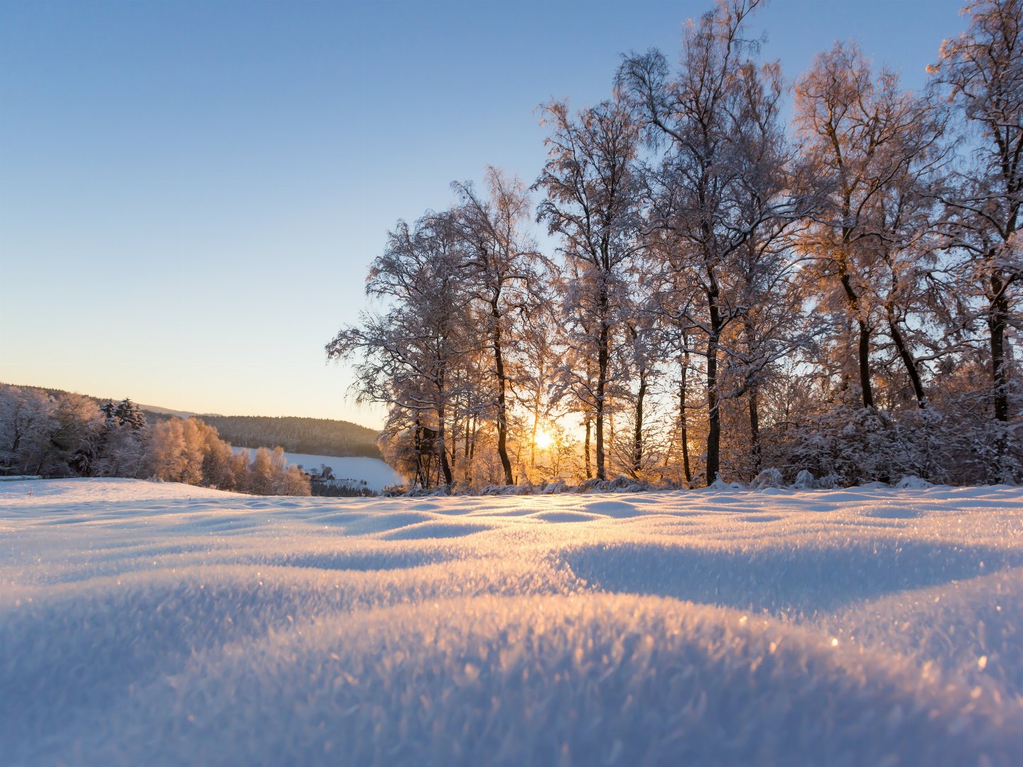 4 für 3 Winterspecial 