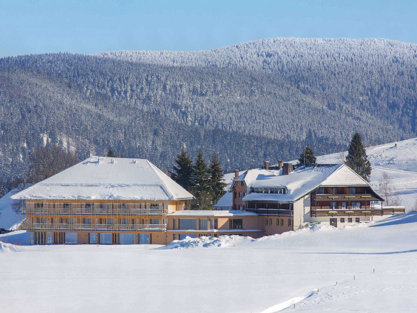 Schwarzwald-Wellness - 50 % Rabatt für die zweite Person