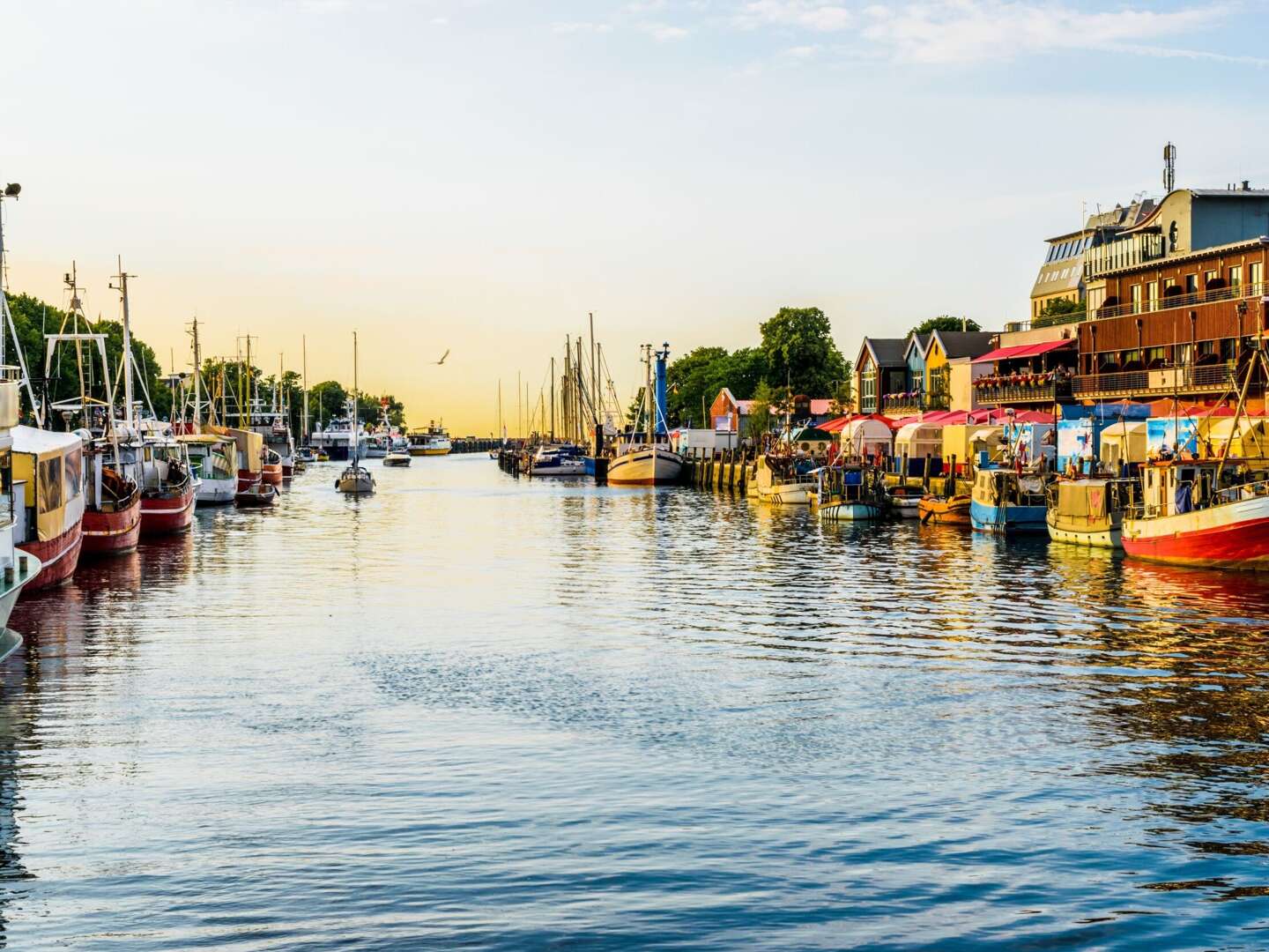 Ostseebrise Sommer inkl. Abendmenü  