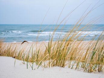 Ostseebrise Sommer inkl. Abendmenü  