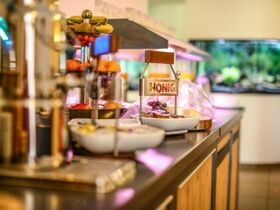 Wellnesspaket 4 Tage inkl. 2 x Eintritt Badeparadies, Palis Vital & Halbpension 