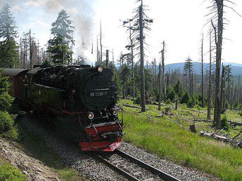 Winterwandern im Harz inkl. Halbpension