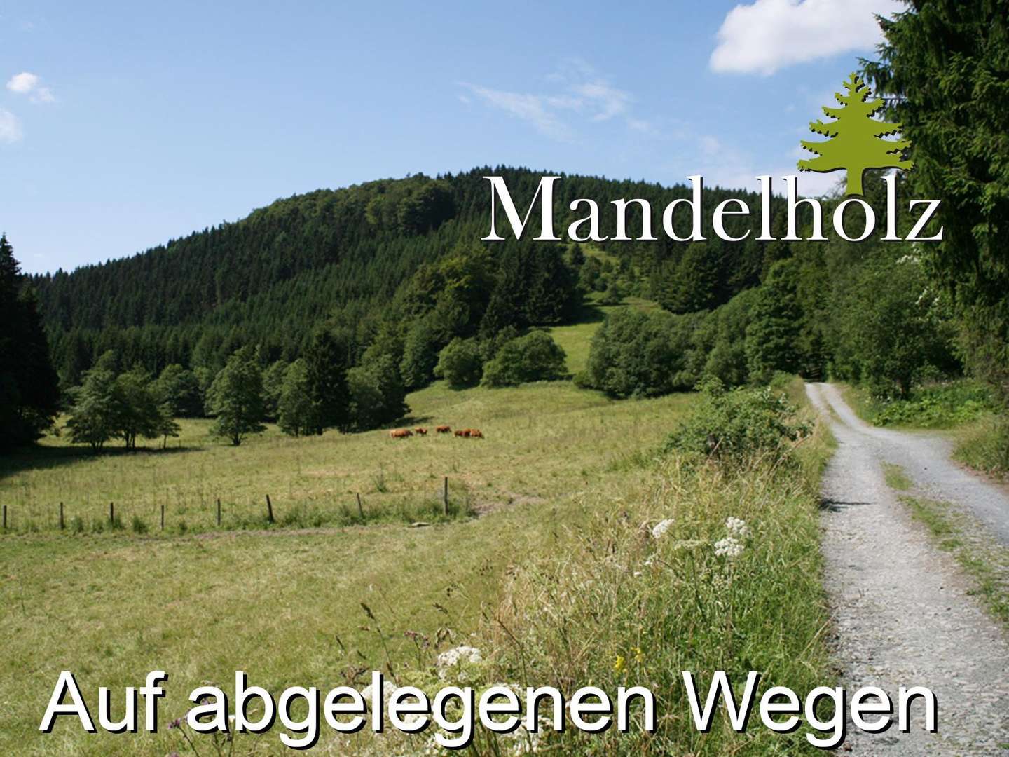 Auf abgelegenen Wegen 4 Tage im Harz unterwegs