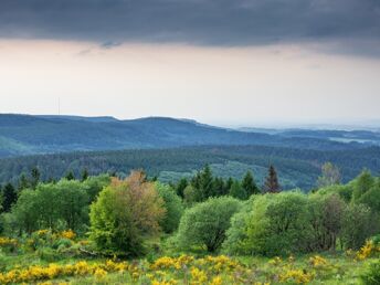 Wandern und Genießen im Weserbergland | 3 Tage