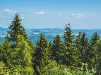 3 Tage zu Fuß ums Dorf der Tiere im Weserbergland inkl. 3-Gang-Menü