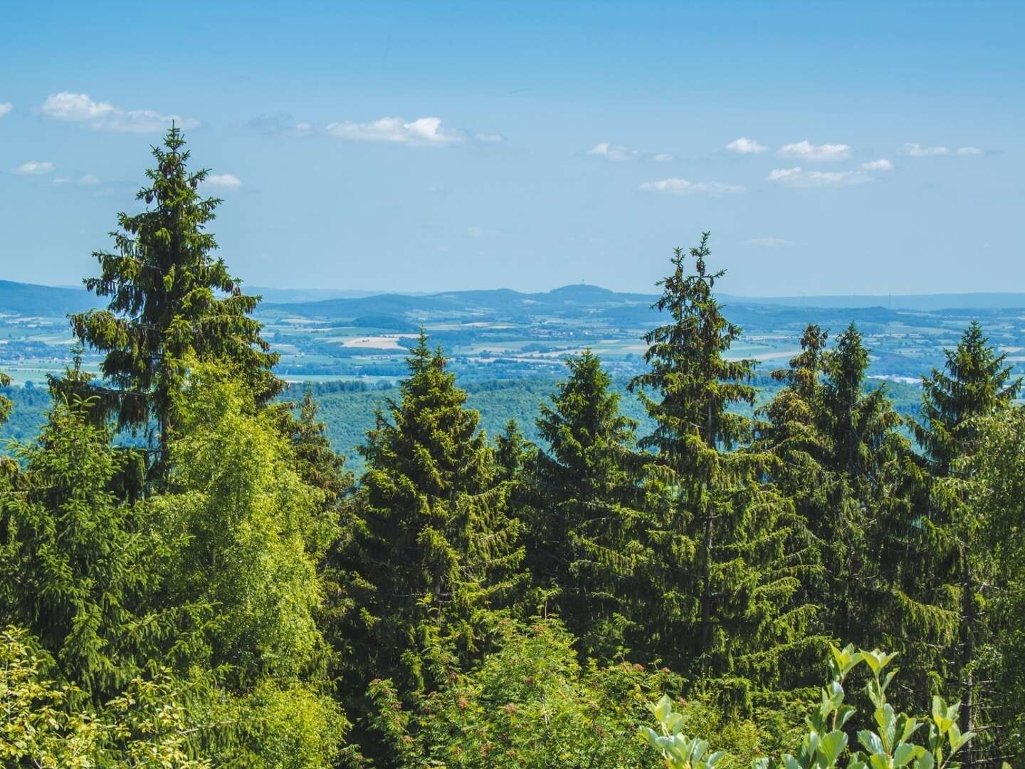 3 Tage Romantische Auszeit im Teutoburger Wald für Zwei inkl. Candlelight-3-Gang-Dinner