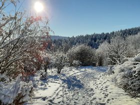 Das Erzgebirge entdecken  - 7 Tage mit traditionell erzgebirgischen Flair