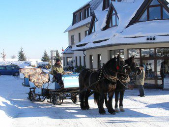 In des Waldes Ruh im Erzgebirge 