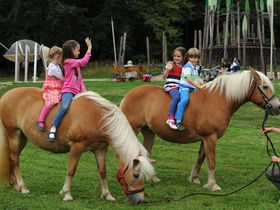 Eine Nacht direkt am Inselsee in Güstrow 