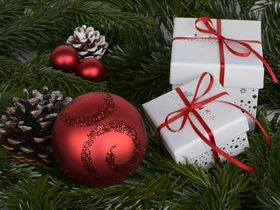 Weihnachten am Inselsee 
