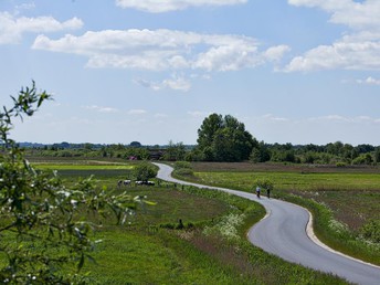 Fischerarrangement Ostfriesland inkl. Halbpension